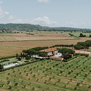 Terra Di , Cortona Italia